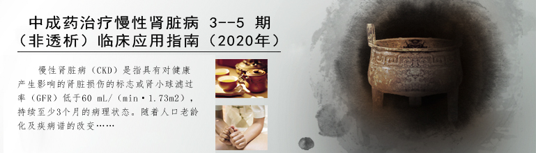 中成药治疗慢性肾脏病 3--5 期（非透析
